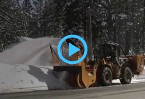 Kodiak Loadermounts In Action!
