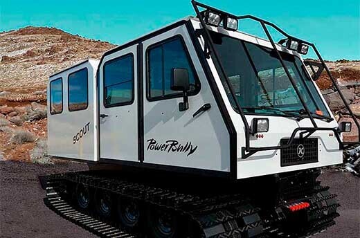 powerbully-scout-520